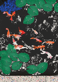Koi II