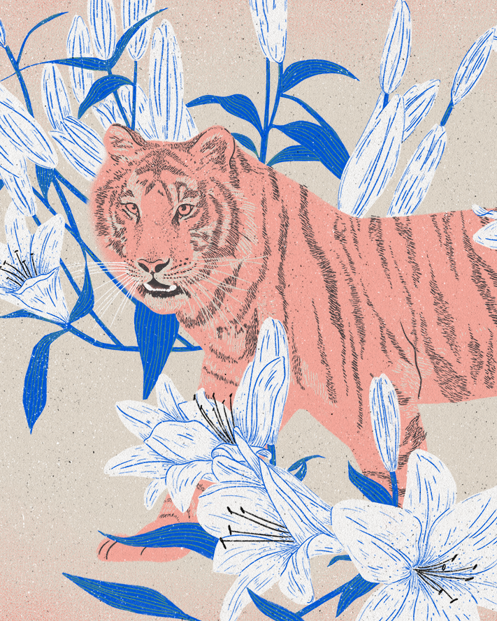 Tiger Lilly
